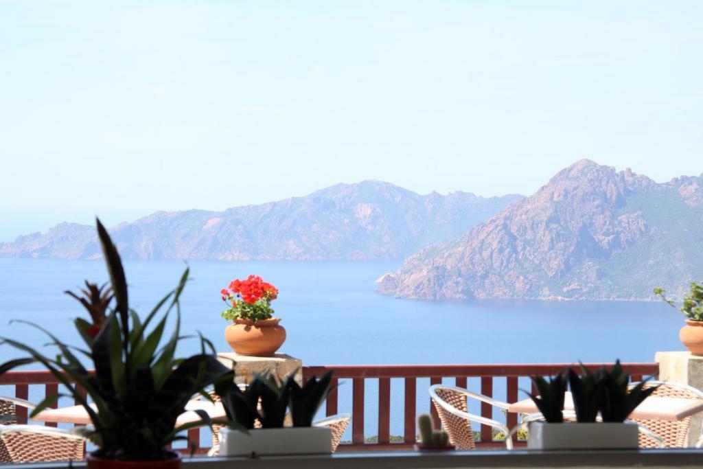 Hotel Les Roches Rouges П'яна Номер фото